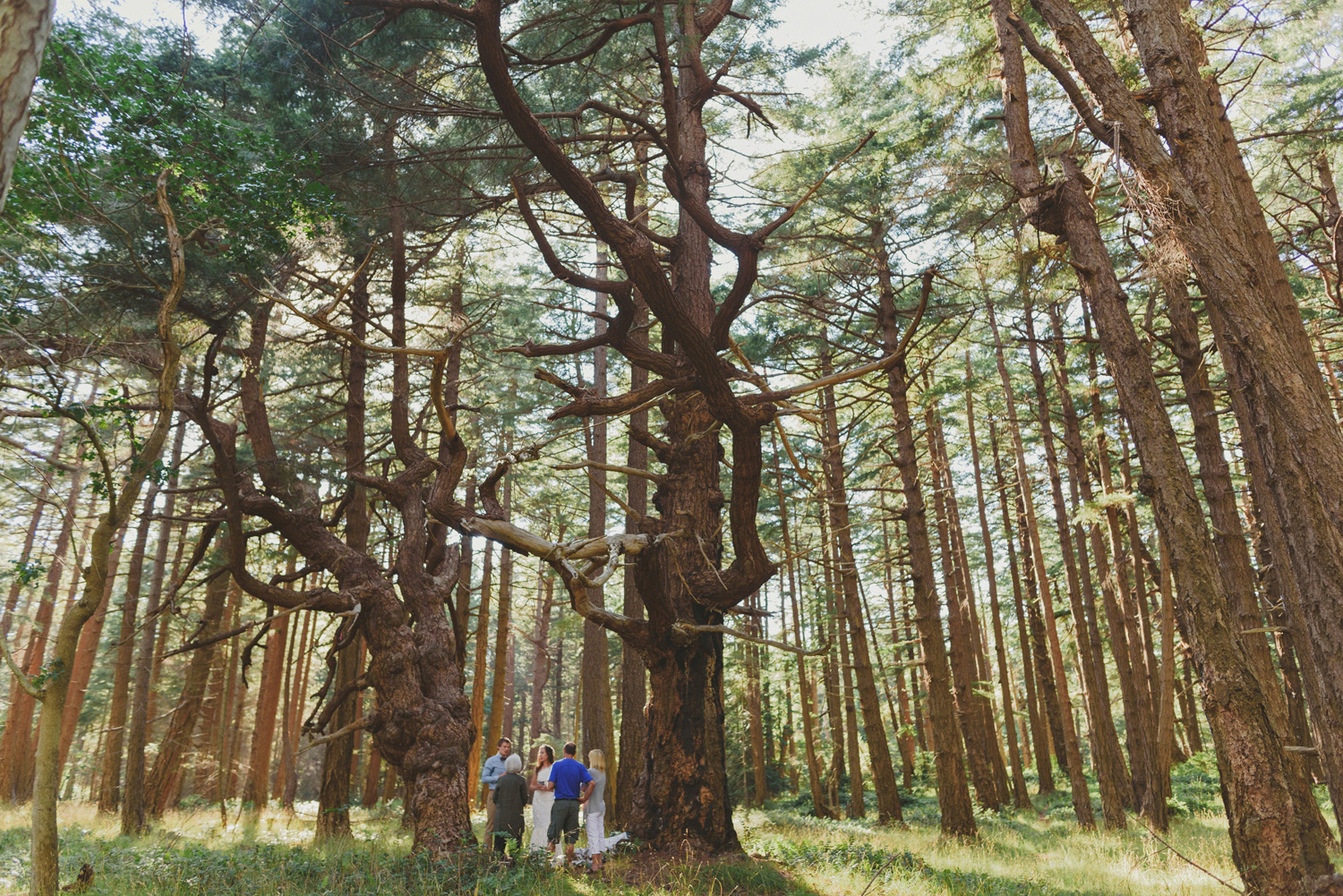 hornby island elopement