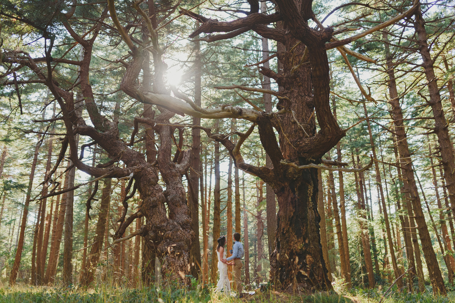 hornby island elopement