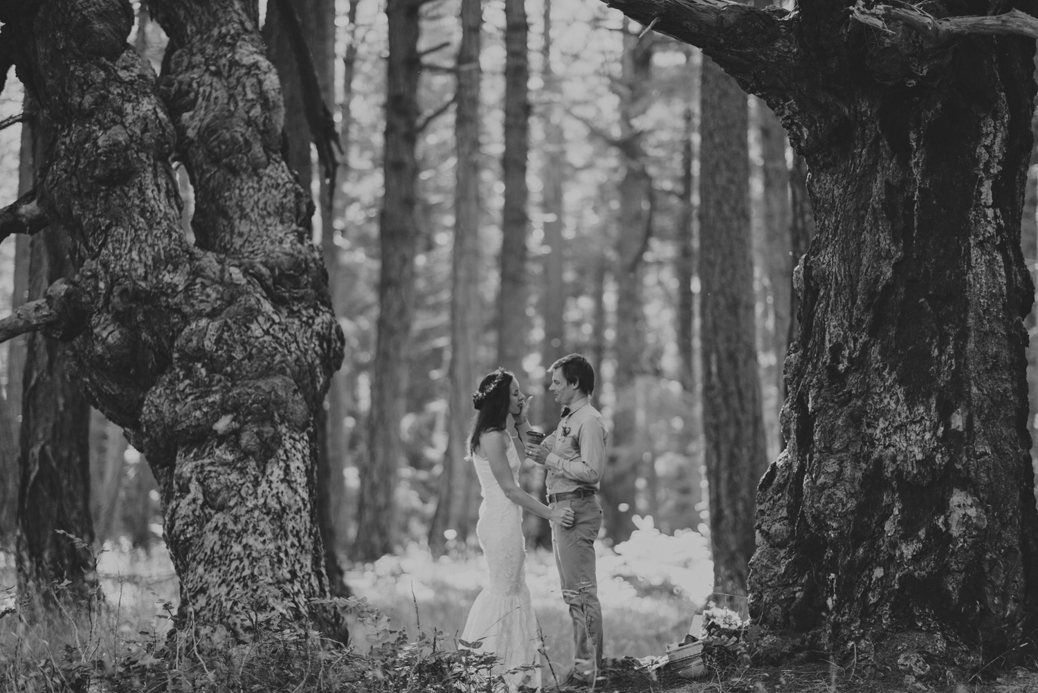 hornby island elopement