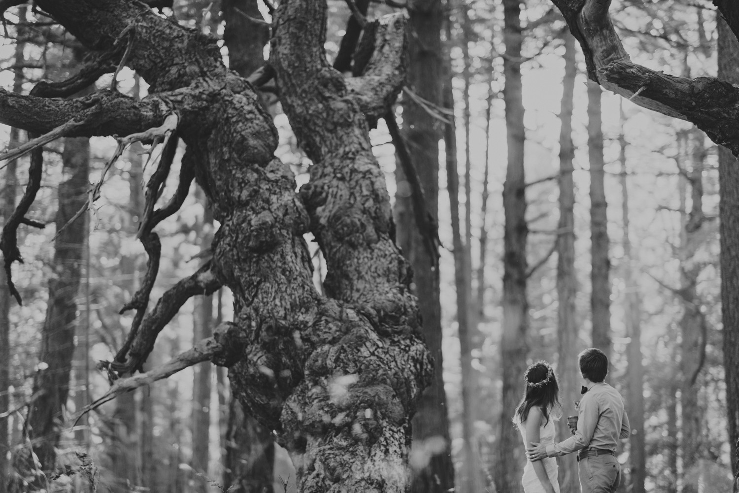 hornby island elopement