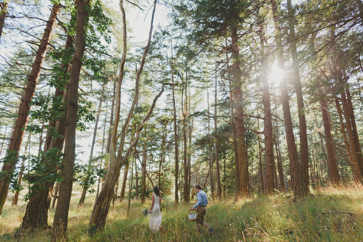 hornby island elopement