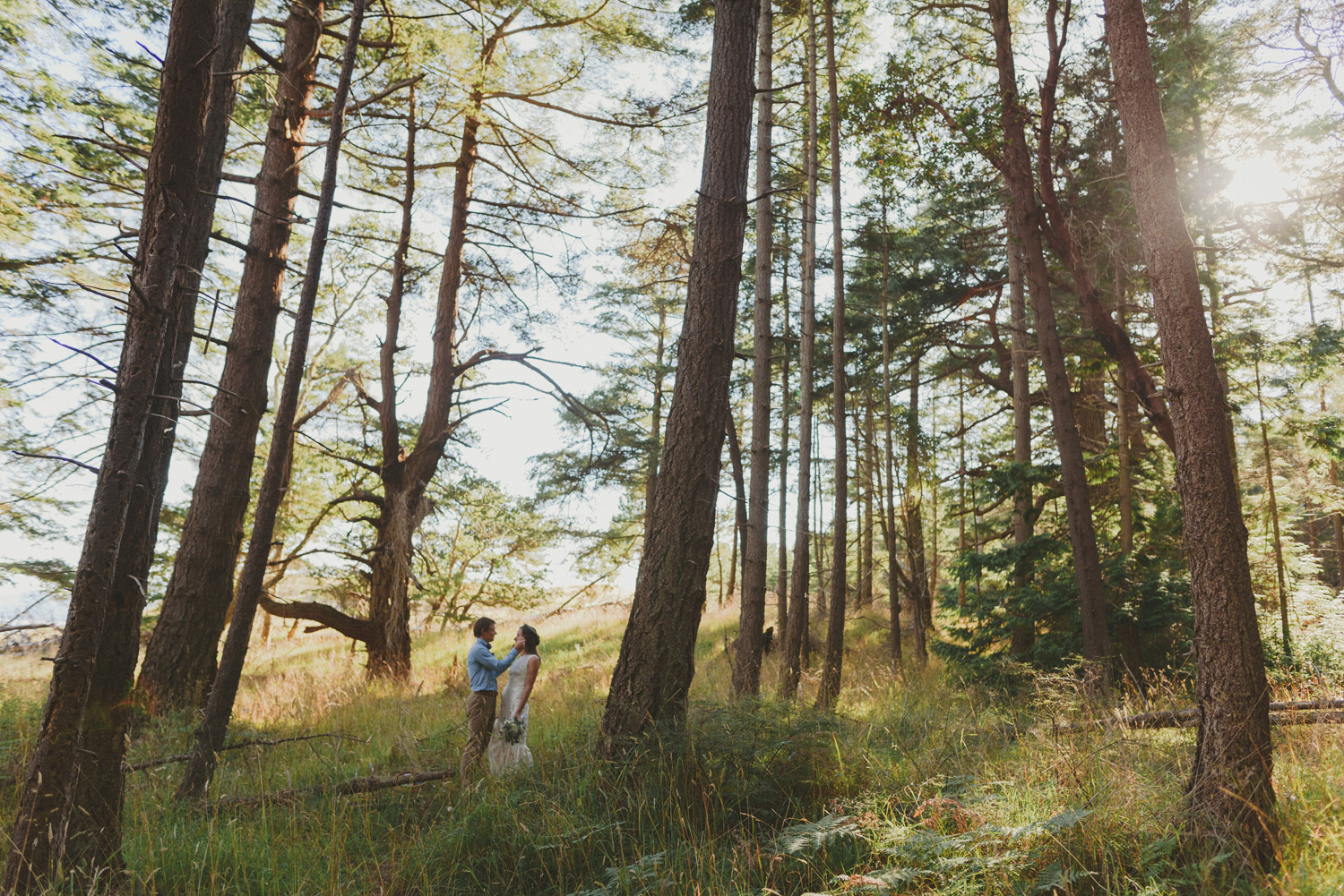 hornby island elopement