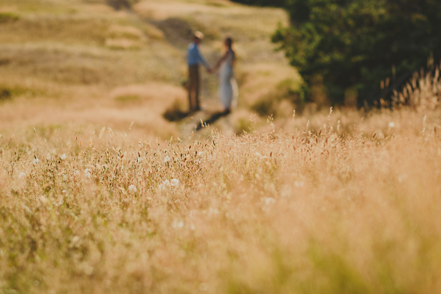 hornby island elopement