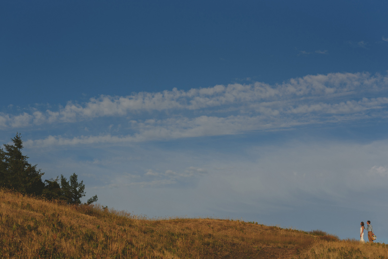 hornby island elopement