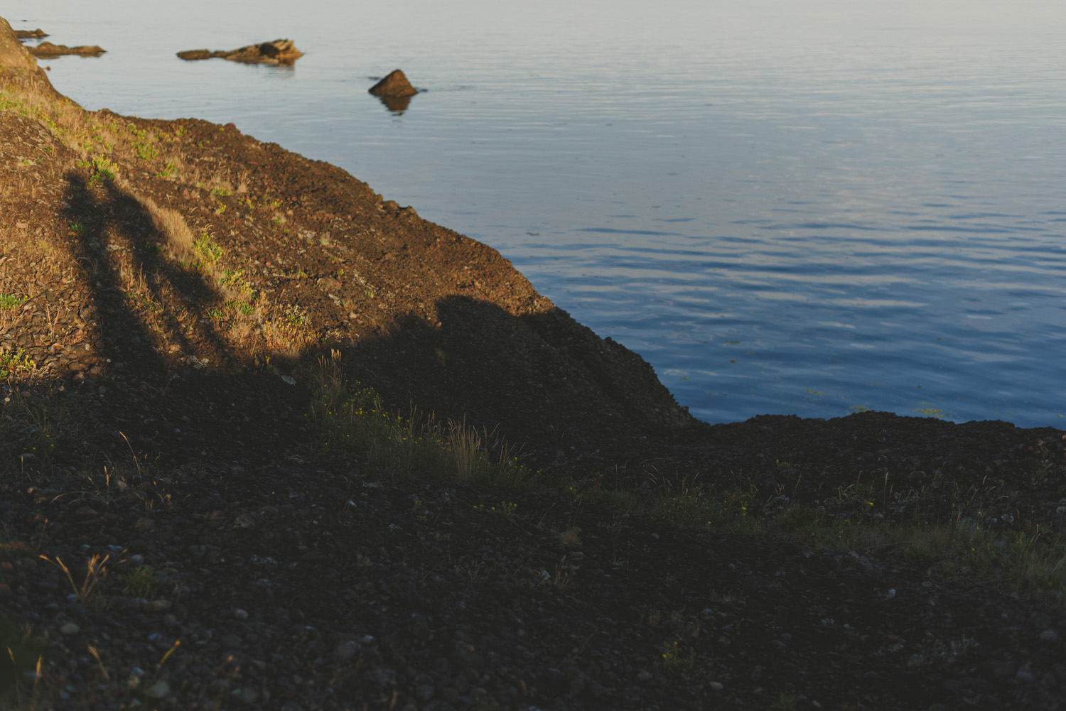 hornby island elopement