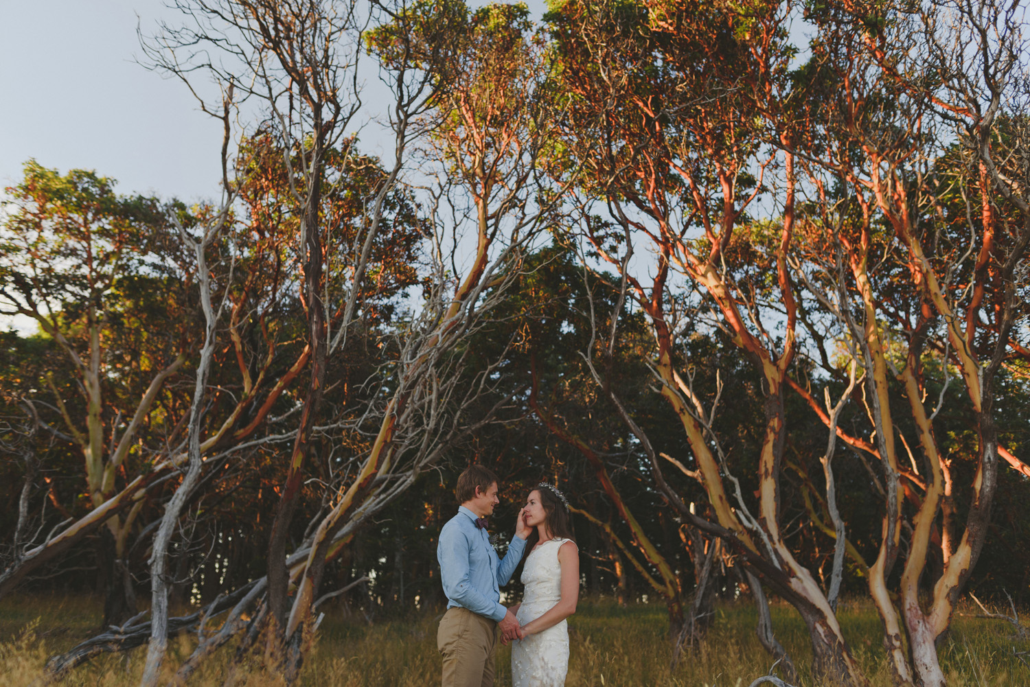 hornby island elopement