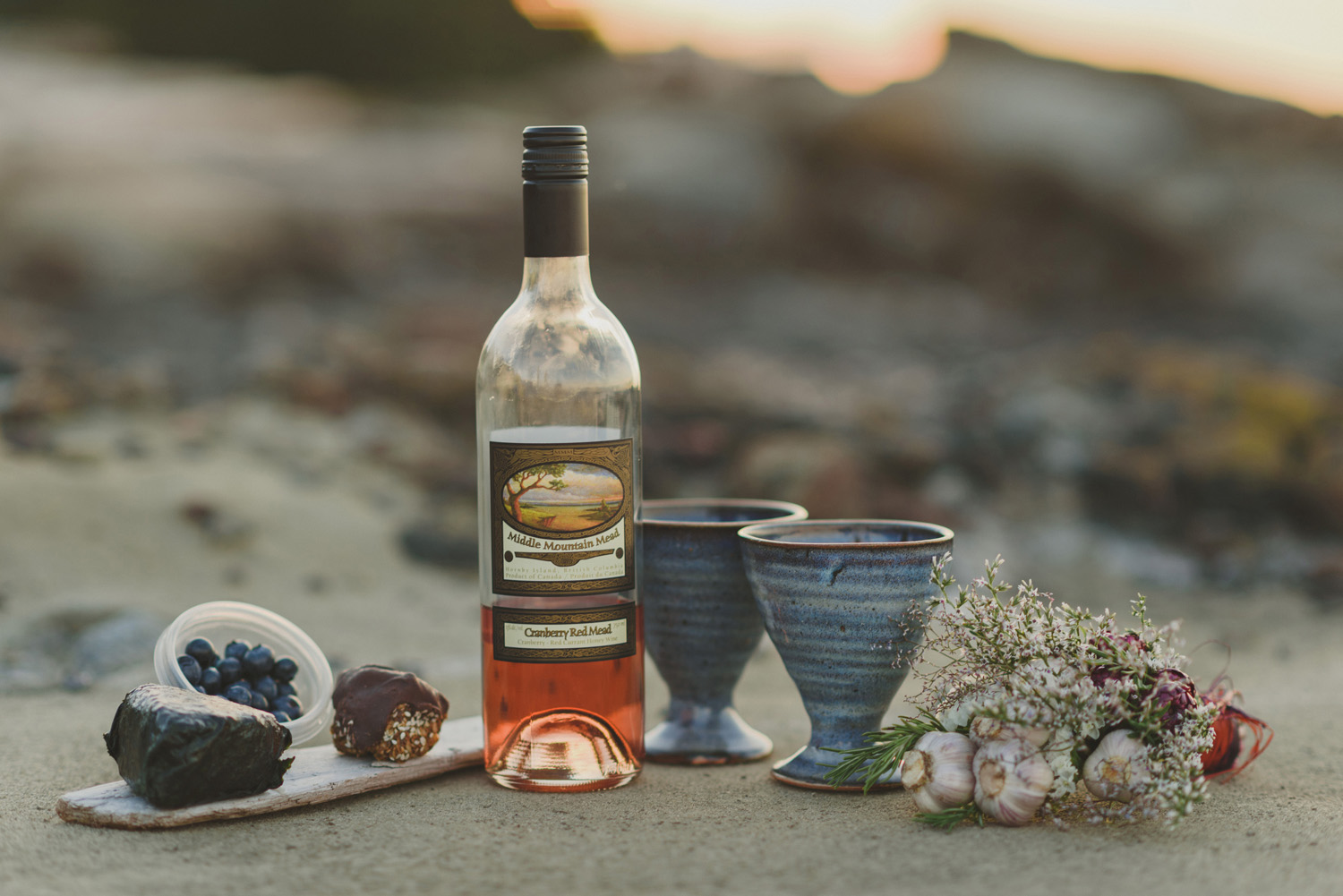 hornby island elopement