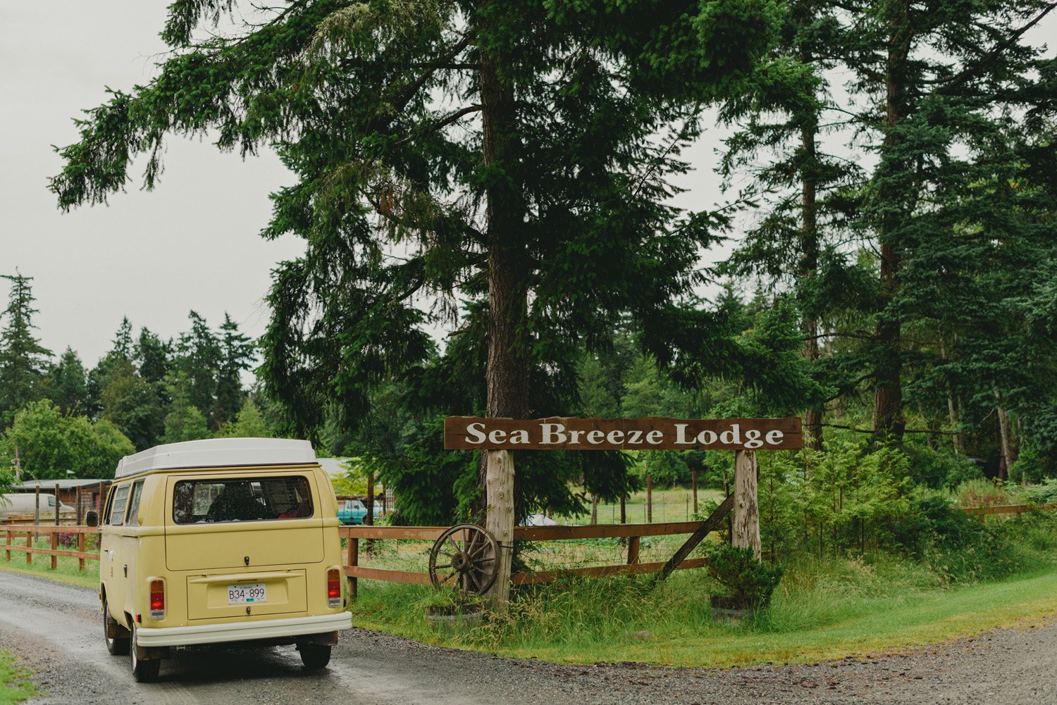 hornby island wedding in the rain