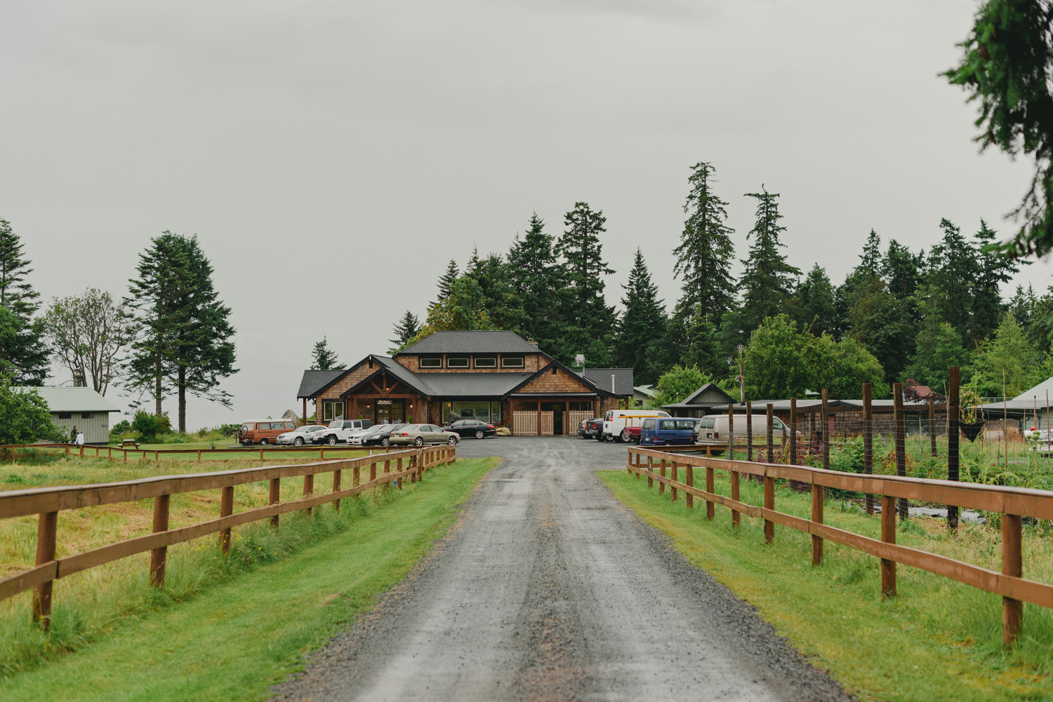 hornby island wedding in the rain