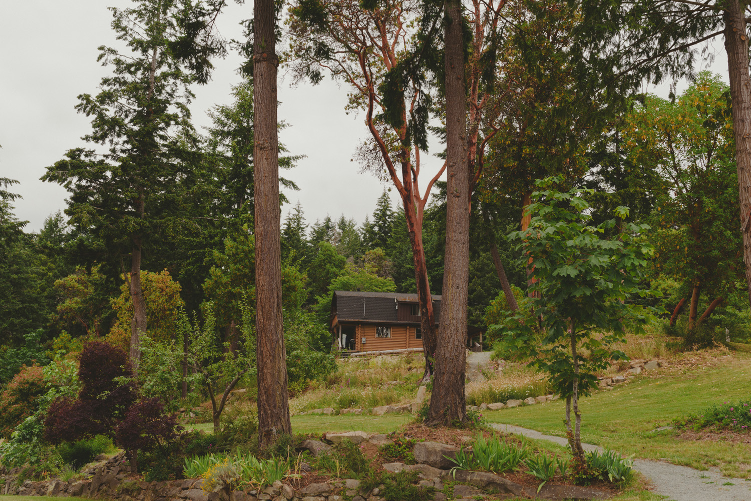 bodega ridge wedding