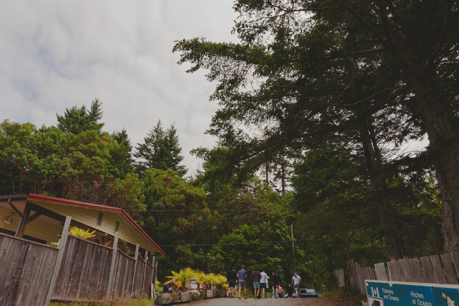 galiano island wedding at bodega ridge