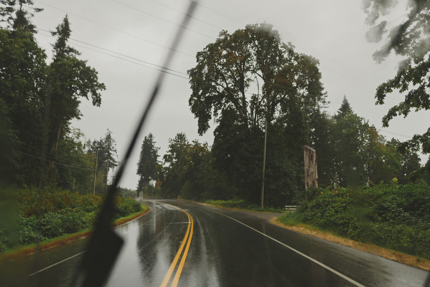 intimate vancouver island wedding