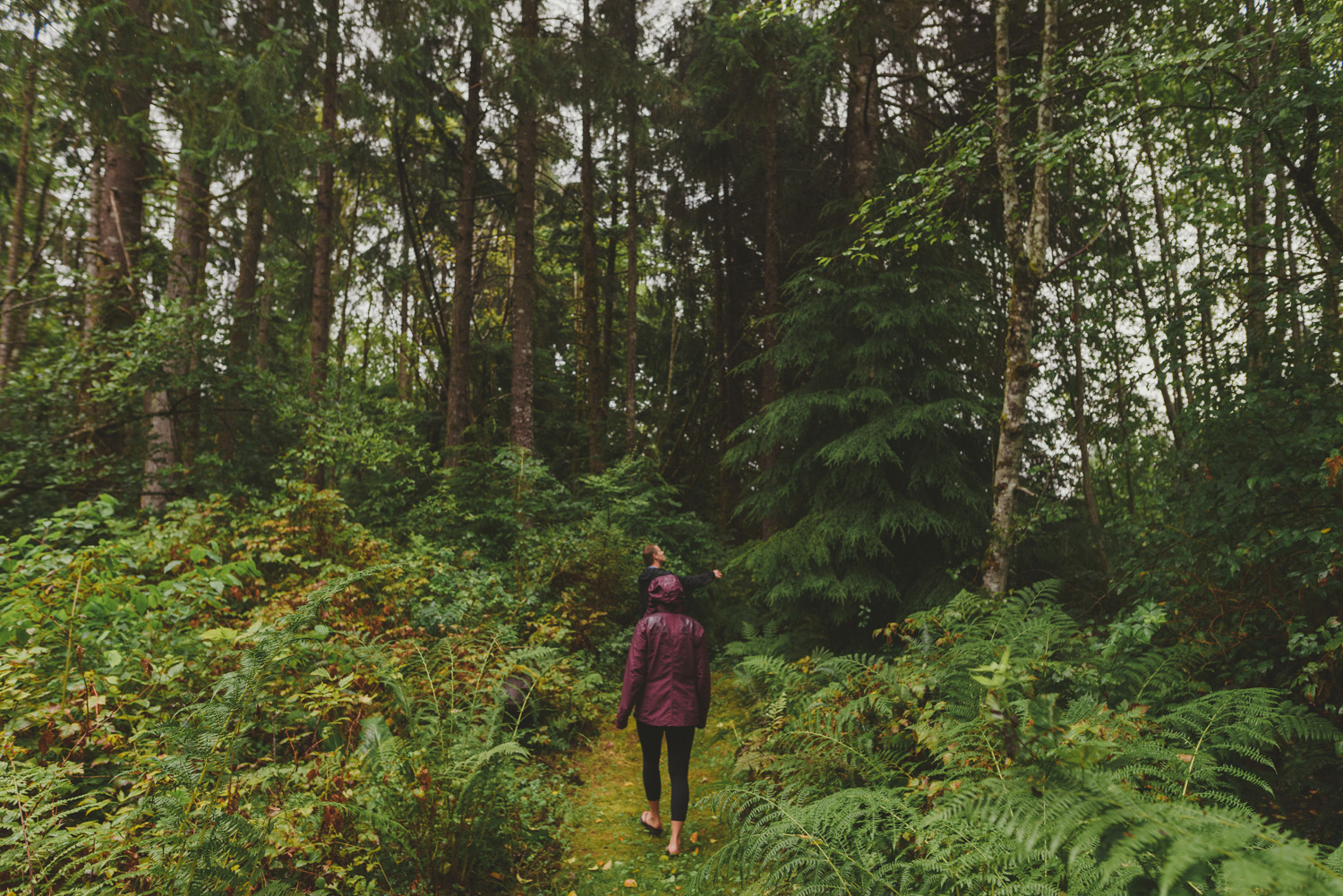 intimate vancouver island wedding