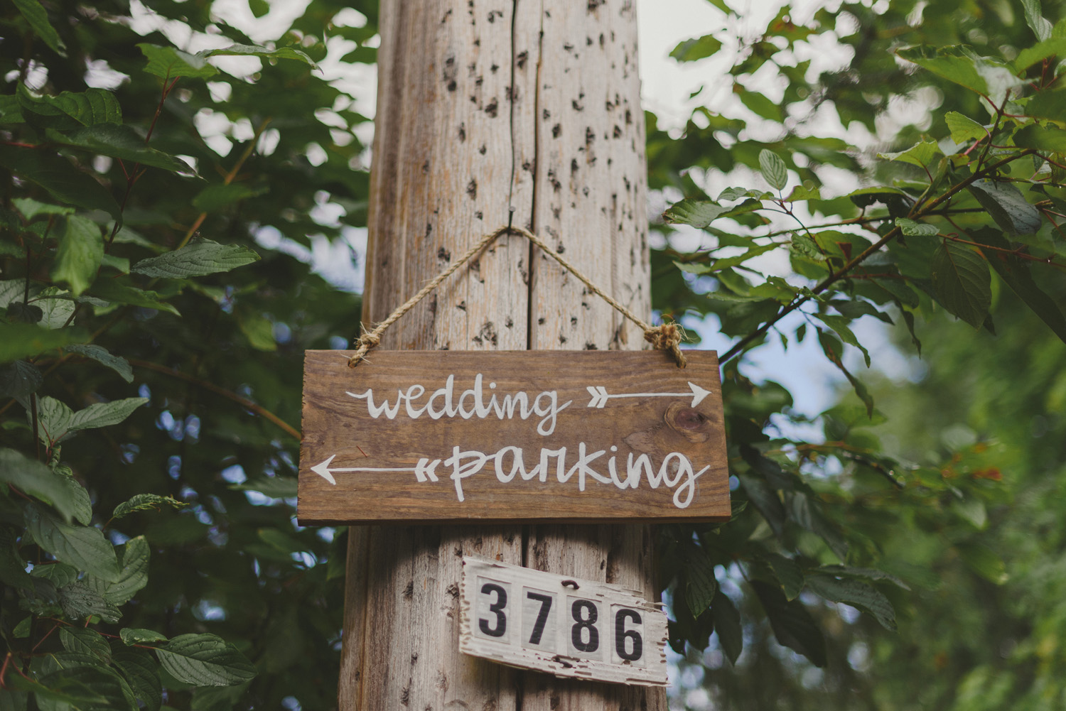 intimate vancouver island wedding