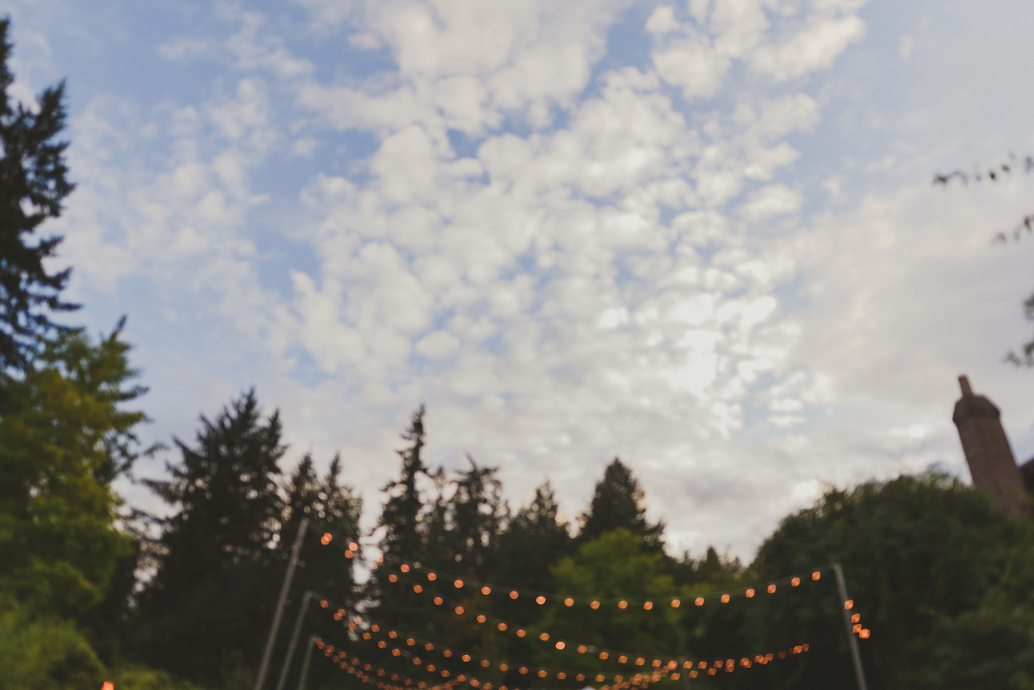 intimate vancouver island wedding