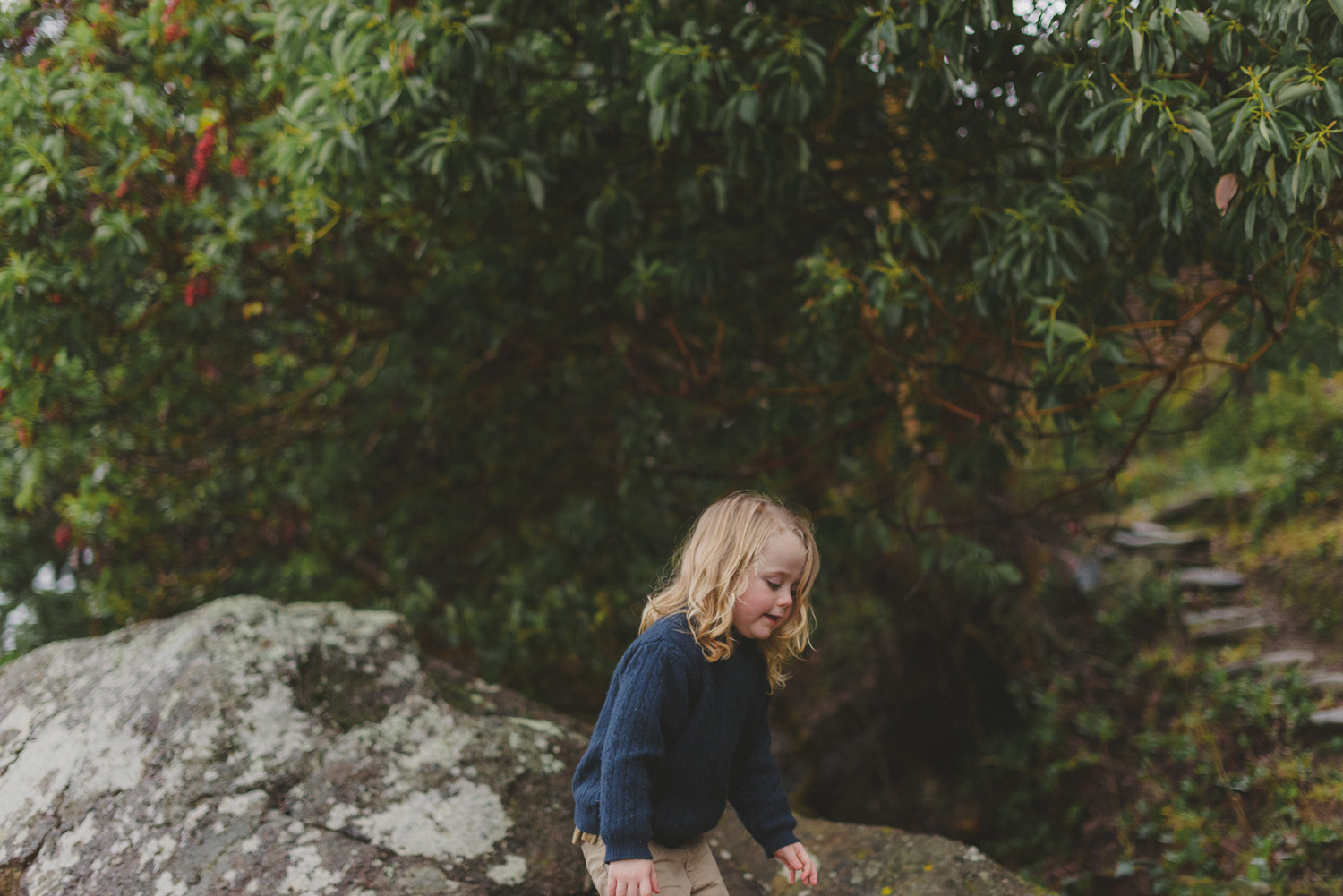 hornby island lifestyle maternity