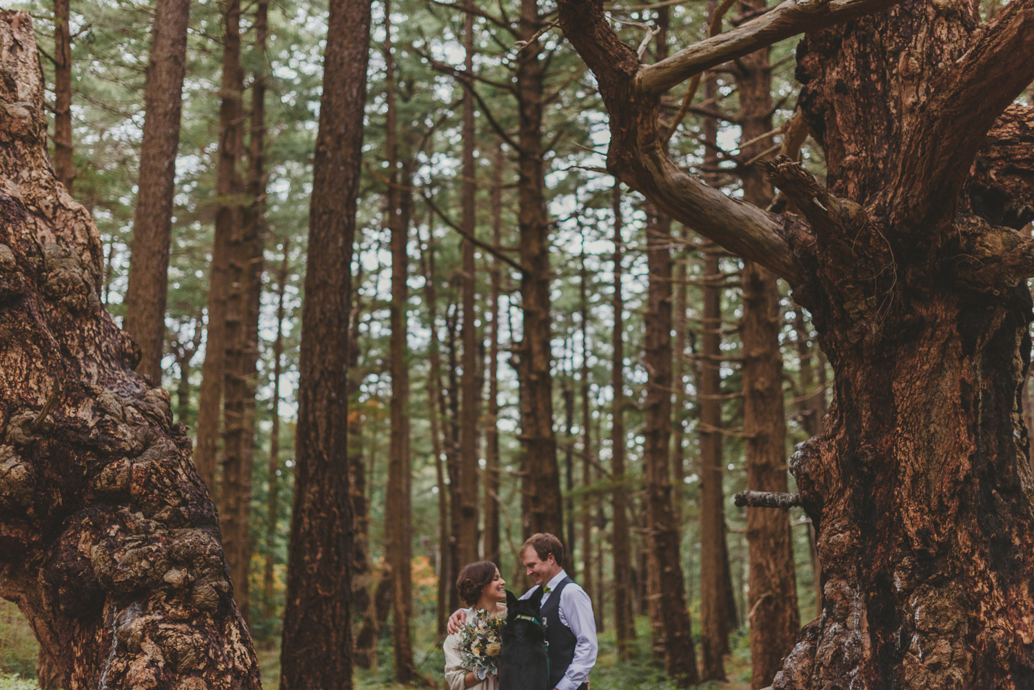 hornby island winter elopement