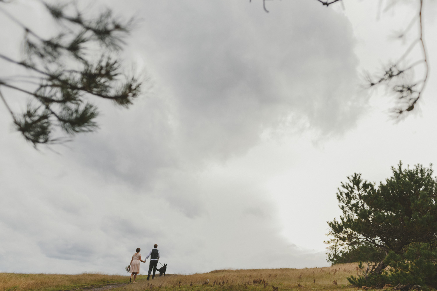 hornby island winter elopement