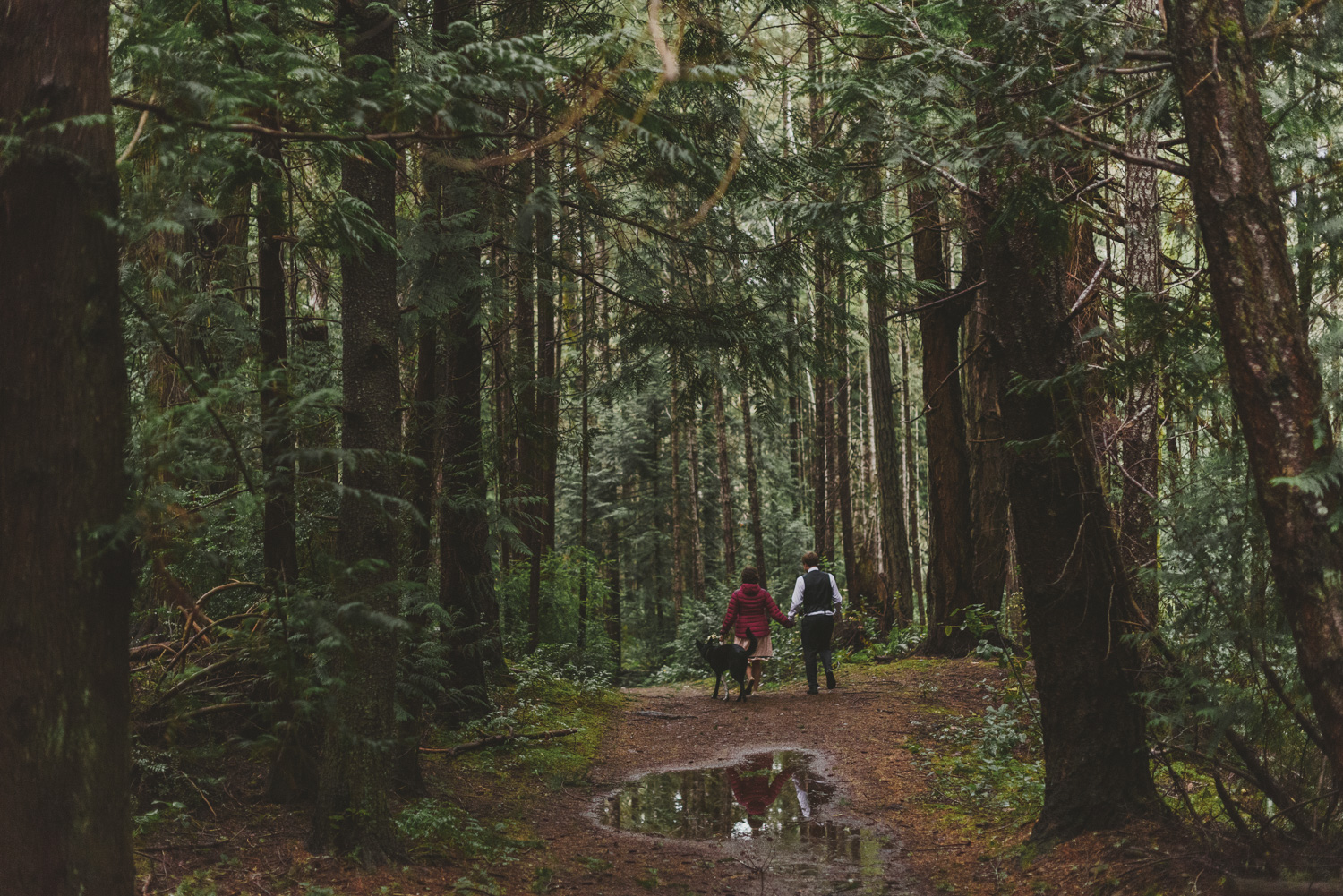 hornby island winter elopement