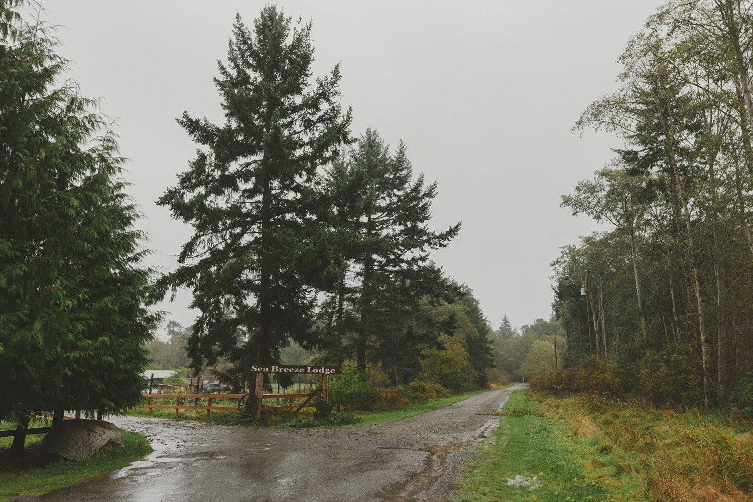 fall wedding sea breeze lodge hornby island