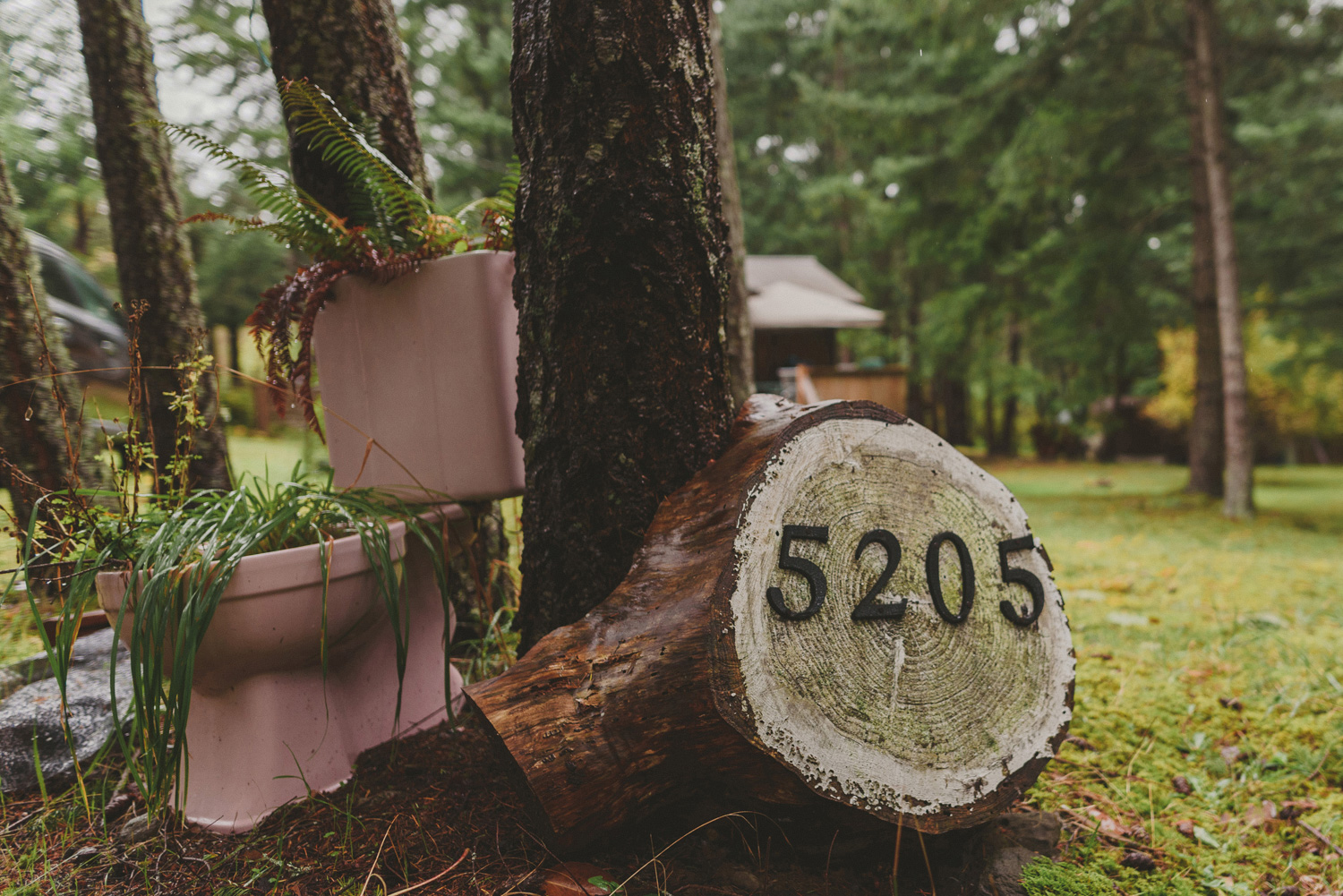 fall wedding sea breeze lodge hornby island