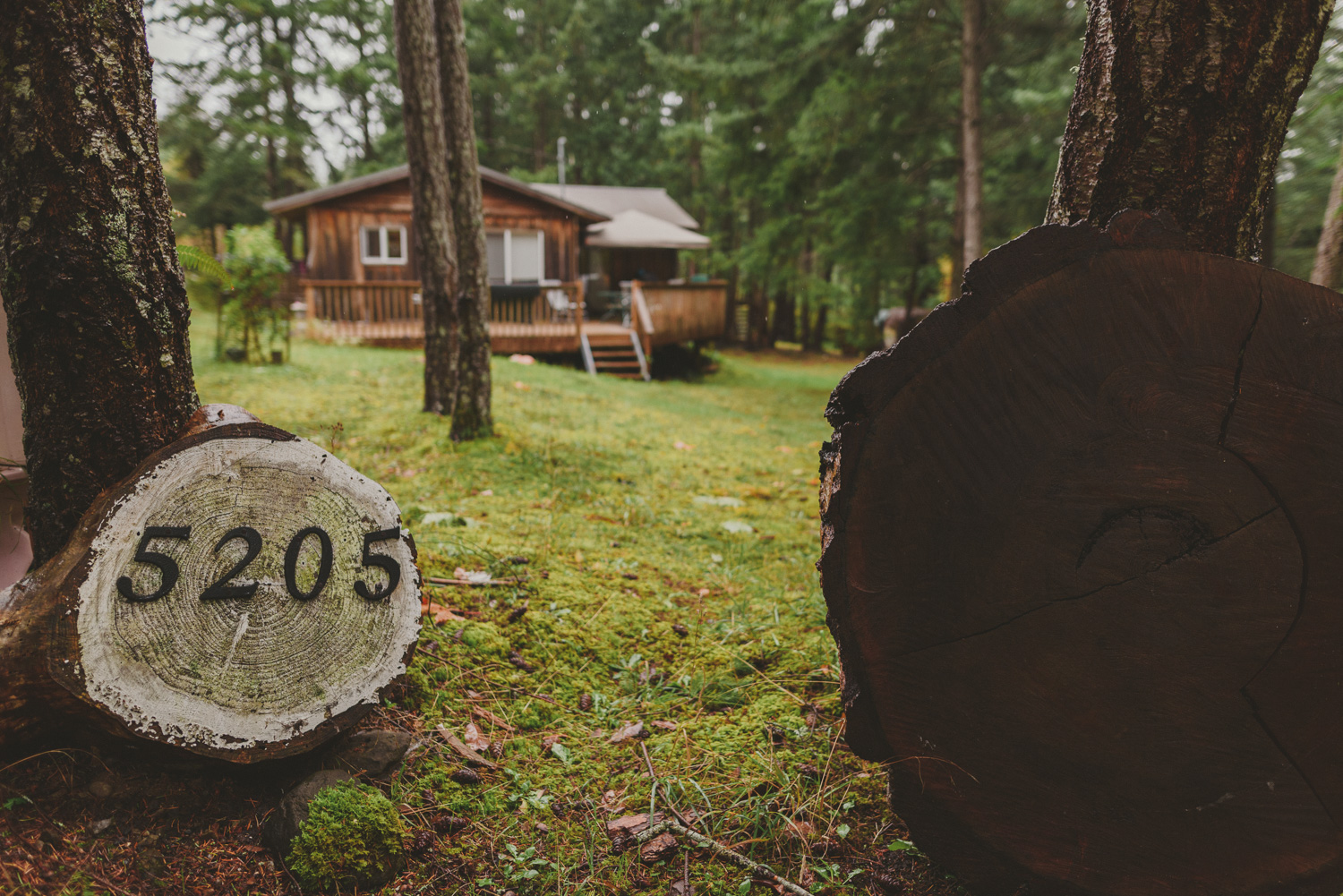 fall wedding sea breeze lodge hornby island