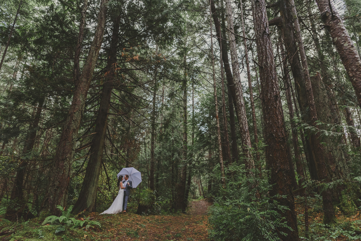 fall wedding sea breeze lodge hornby island