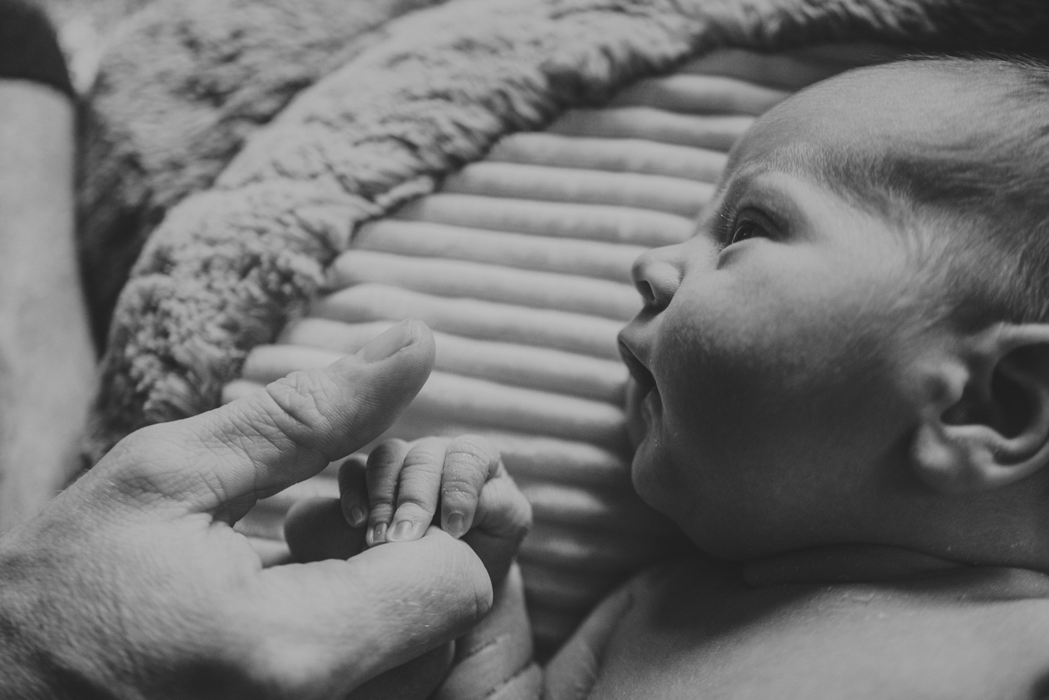 documentary at home newborn family session