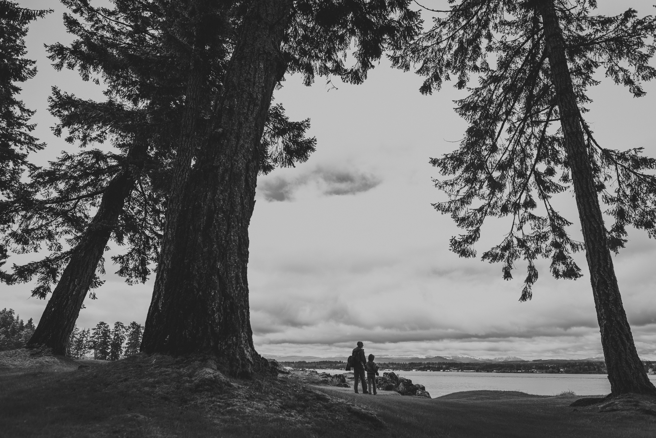 family travels - campbell river-father & kid walking under old growth trees by the ocean