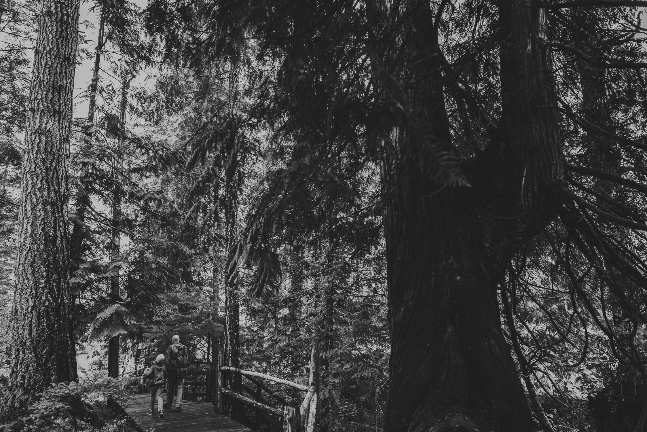 family travels - campbell river-father & daughter walking along forest pathway