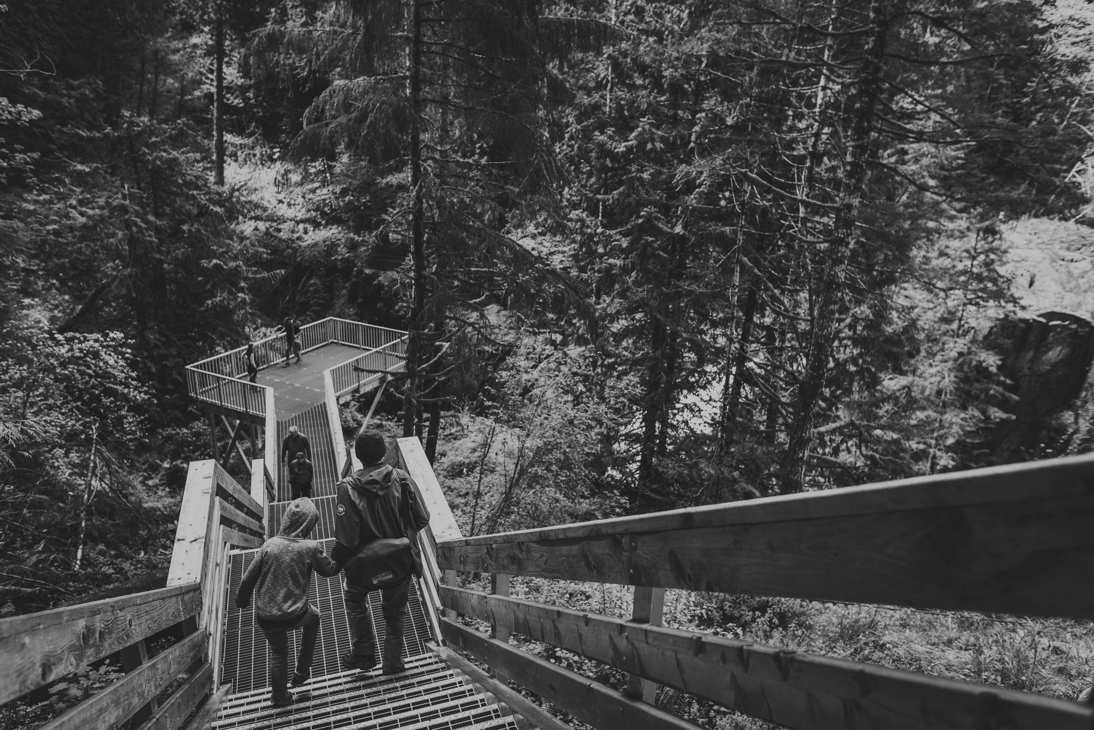 family travels - campbell river-father & kid walking down forest steps