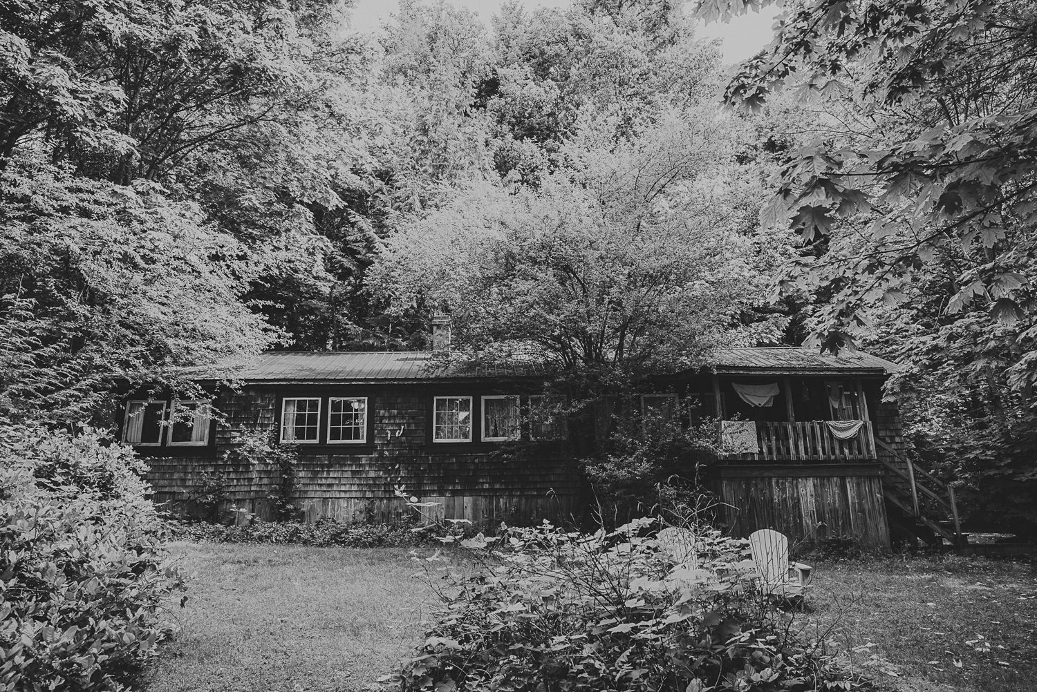 cabin in the forest at overbury resort thetis island wedding - 