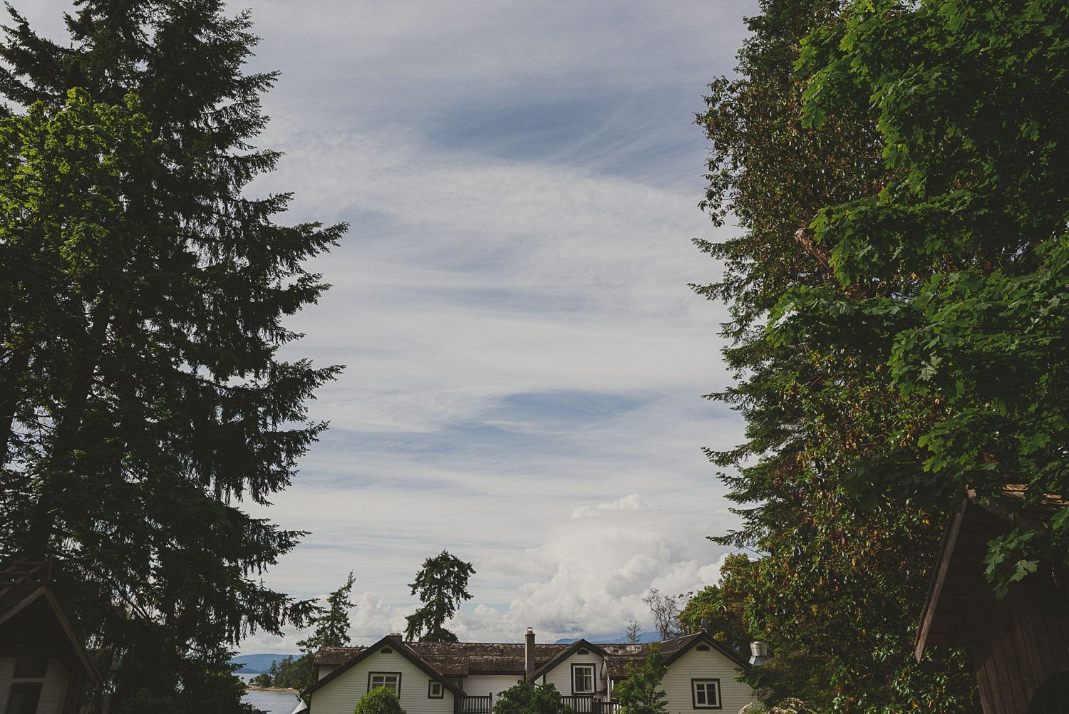 main house at overbury resort thetis island wedding - 