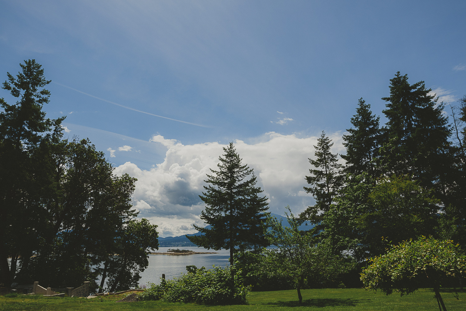 overlooking the grounds at overbury resort thetis island wedding - 