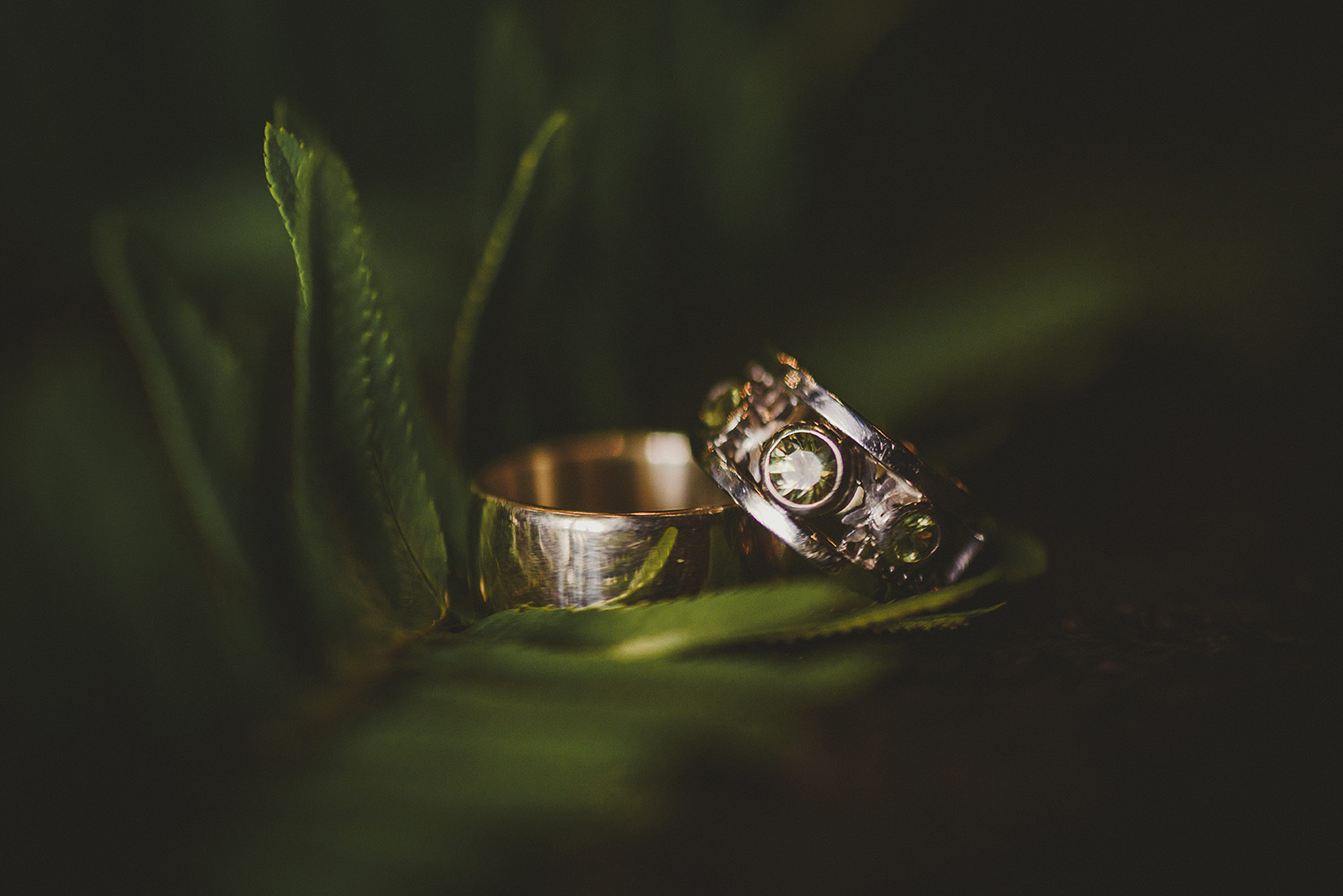 wedding rings in ferns