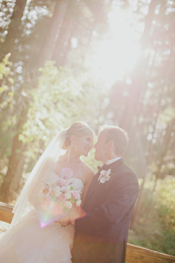 bride and groom in a forest with sunlight shining through the trees