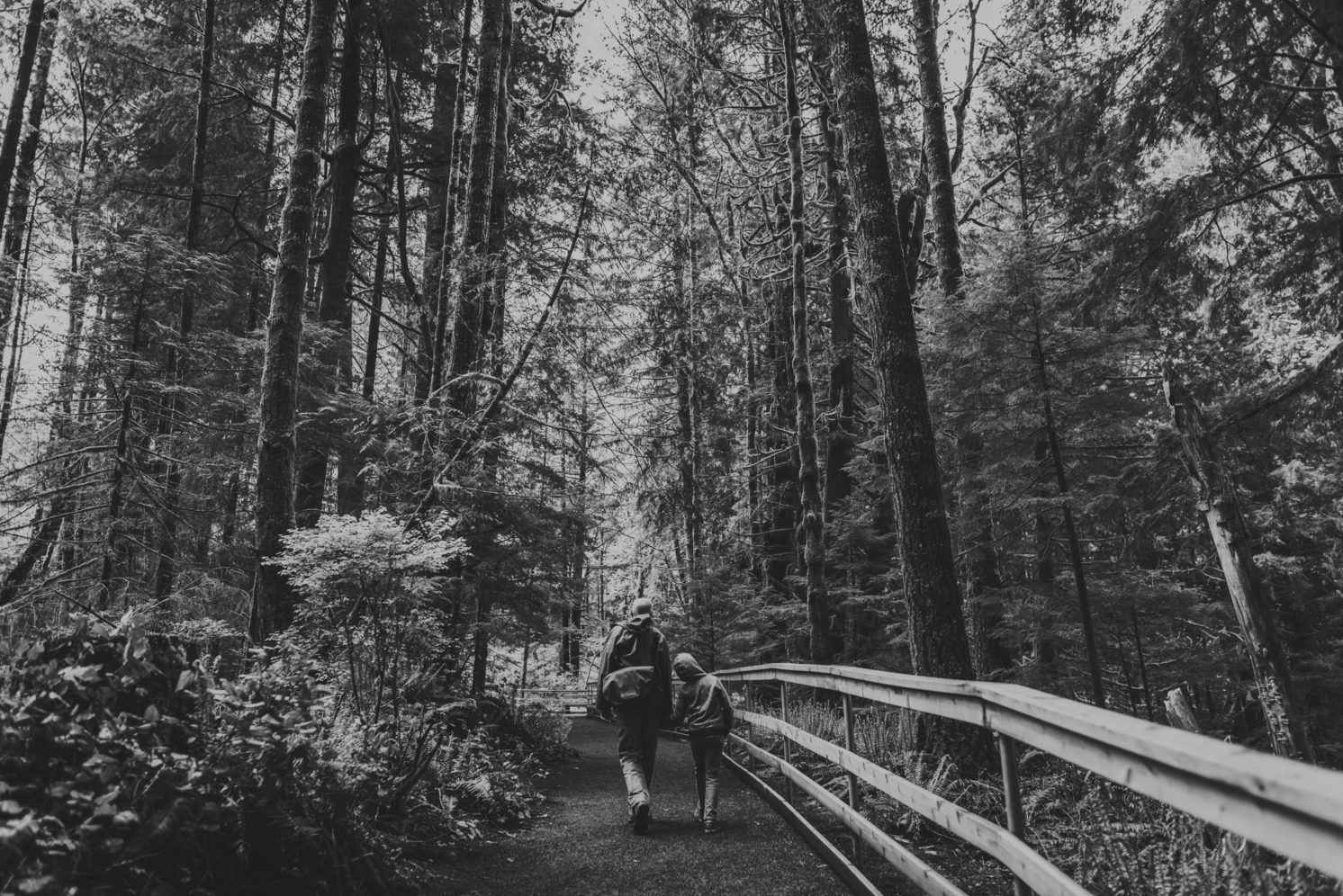 family travels - campbell river-father & kid walking along forest trail