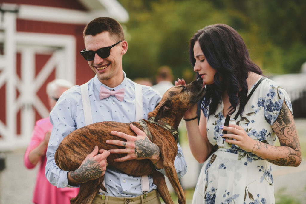 wedding guests holding a dog