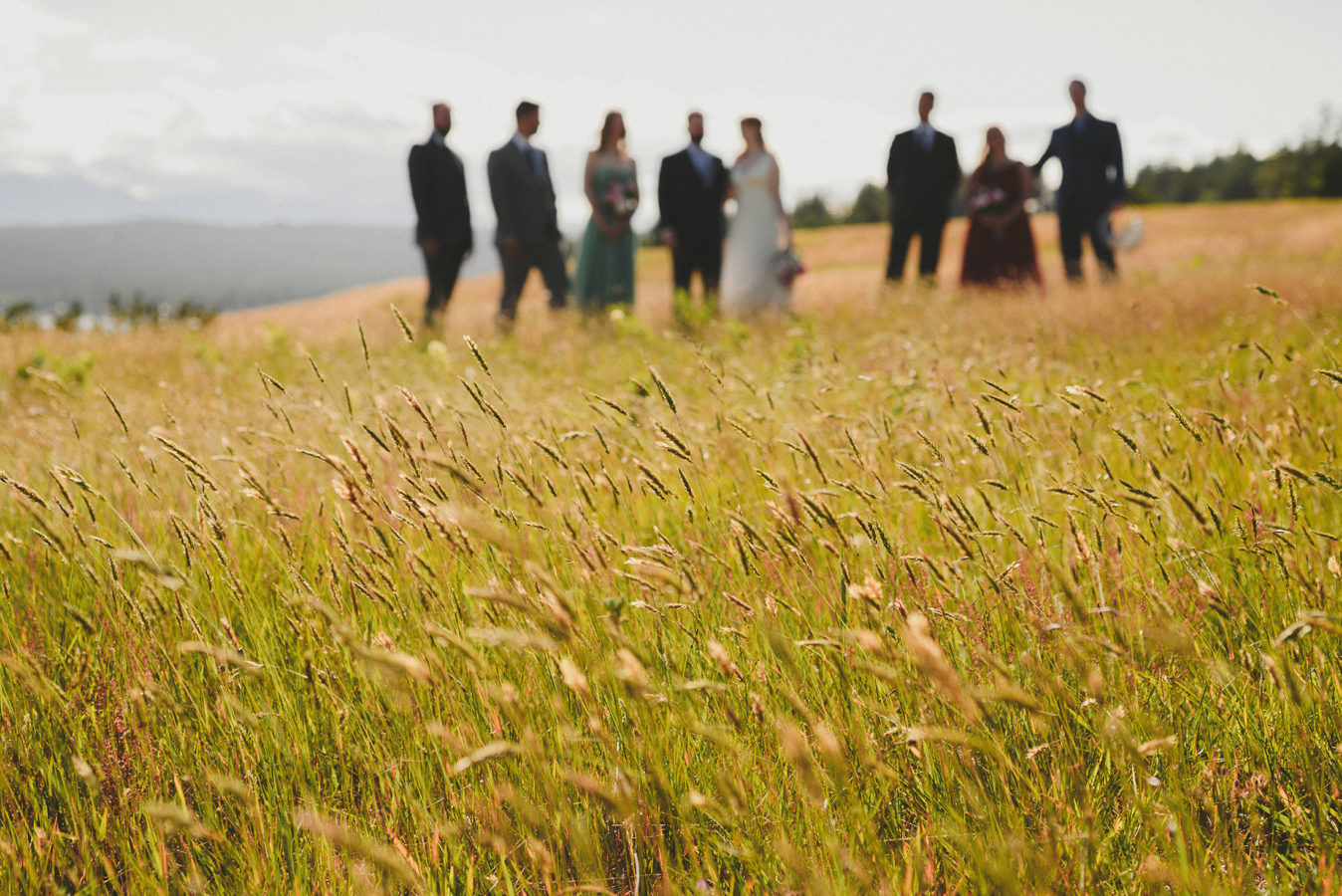 out of focus wedding party standing on a grassy field with the grass in focus in the foreground
