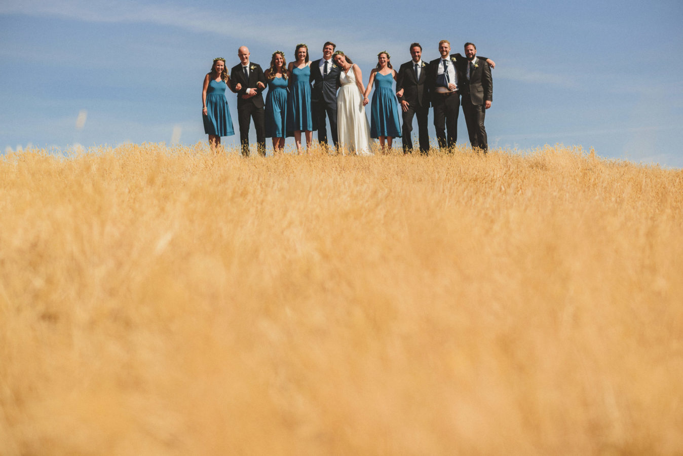 bride and groom with wedding party with a field of yellow grass in front of them & blue sky behind them