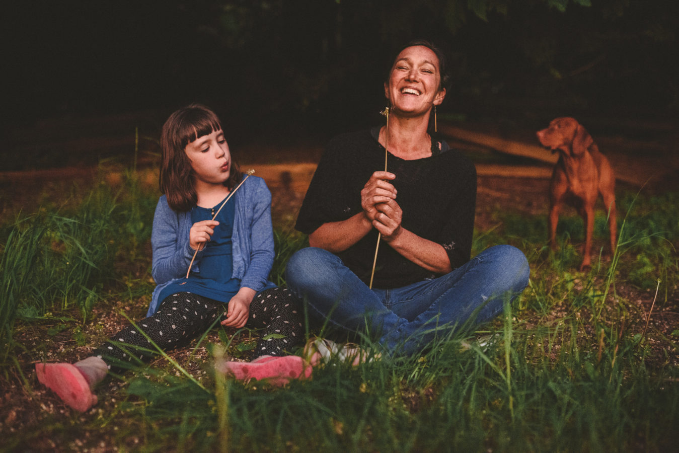 mom and daughter sitting in the evening grass, kid blowing a dandelion and the mom laughing
