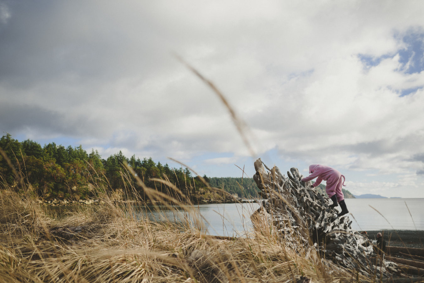 young kid in a pig onsies climbing a large stump on the beach