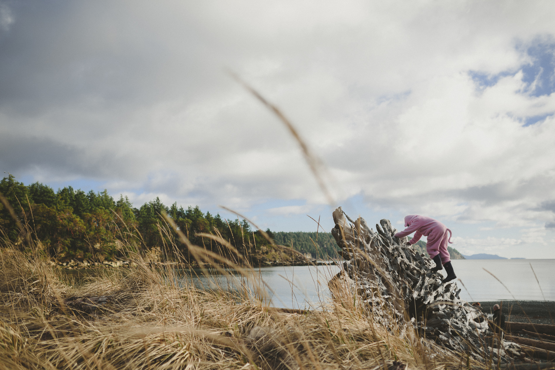 young kid in a pig onsies climbing a large stump on the beach
