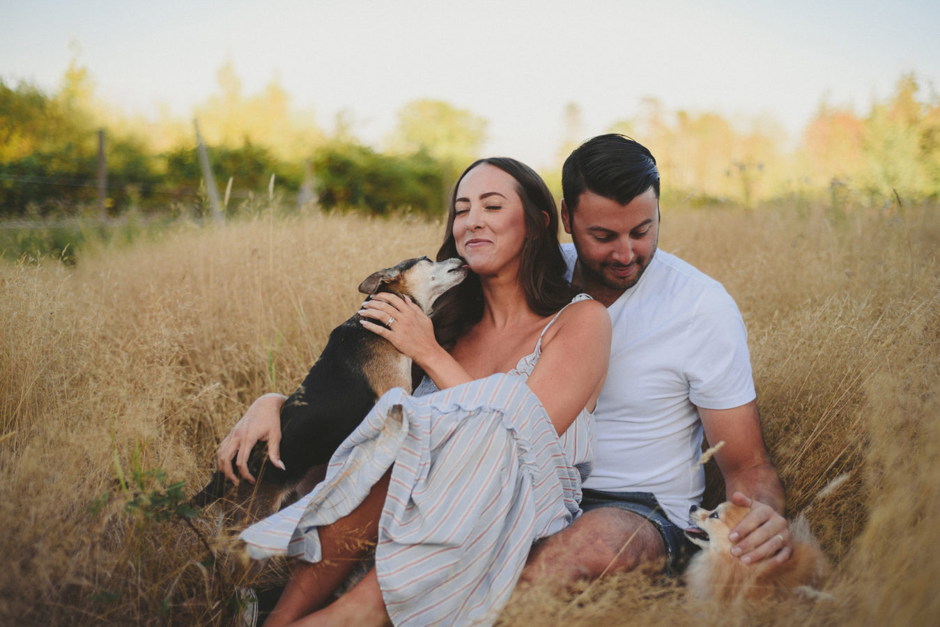 couple and their two small dogs sitting together in a grassy field