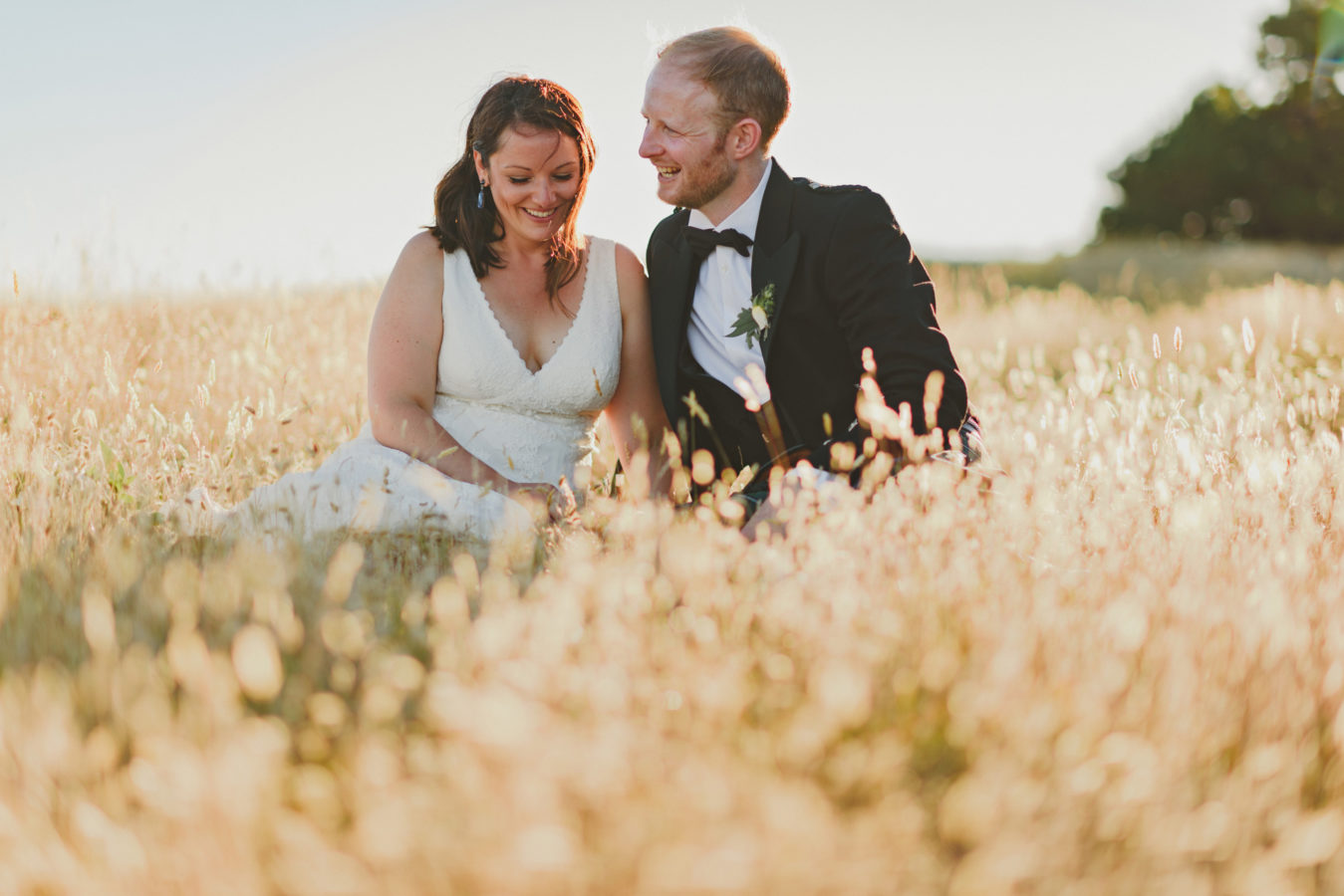 bride and groom in the tall golden grassy on their wedding day