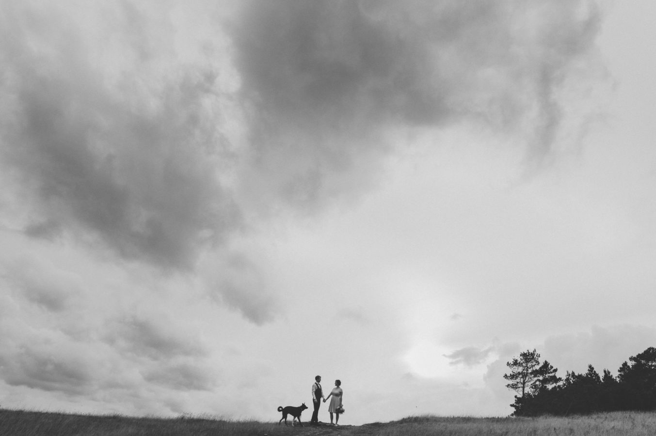 bride and groom and their dog standing on a grassy field with a big stormy sky above them